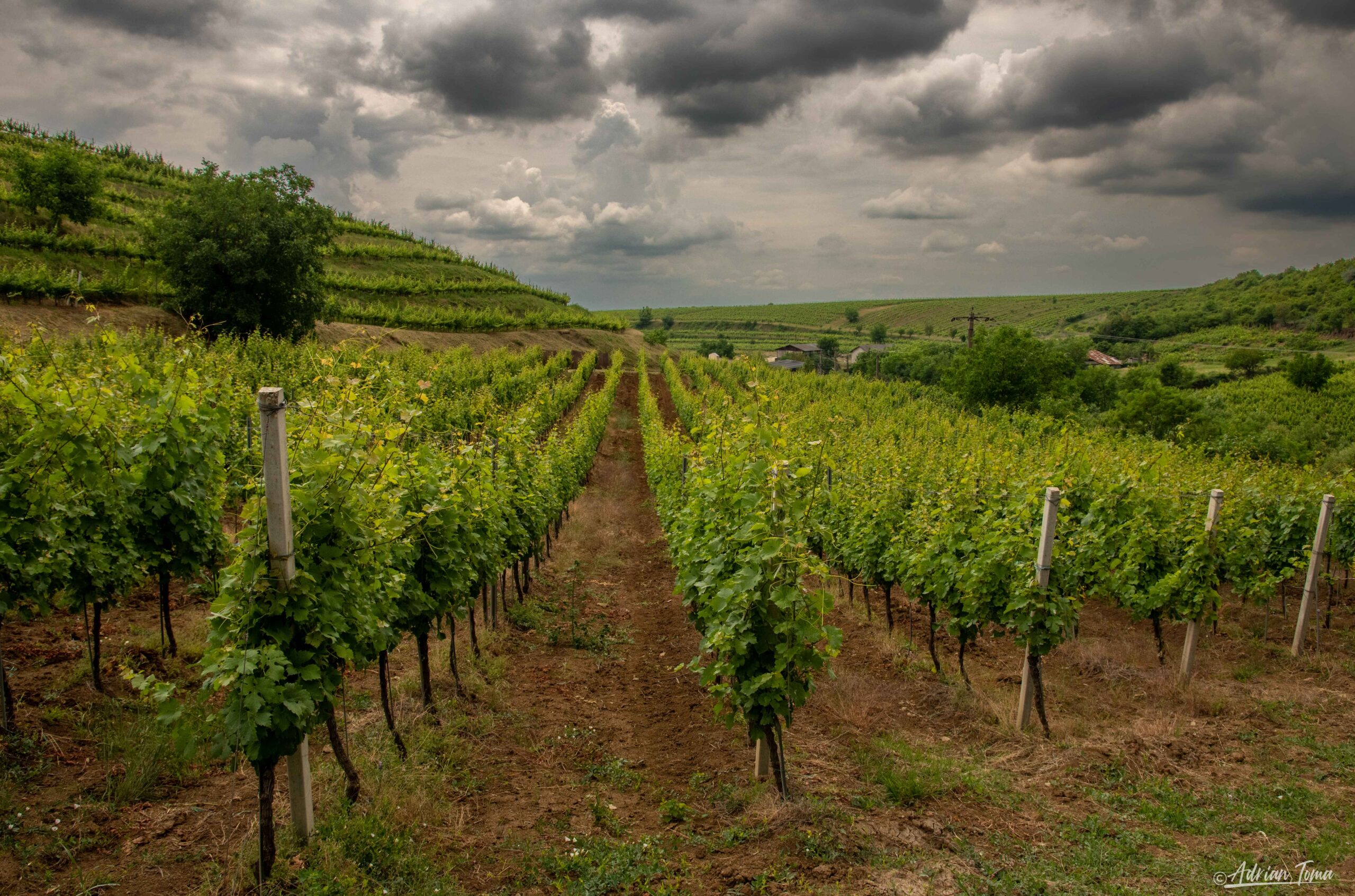 DSC_5132-HDR_7_11zon