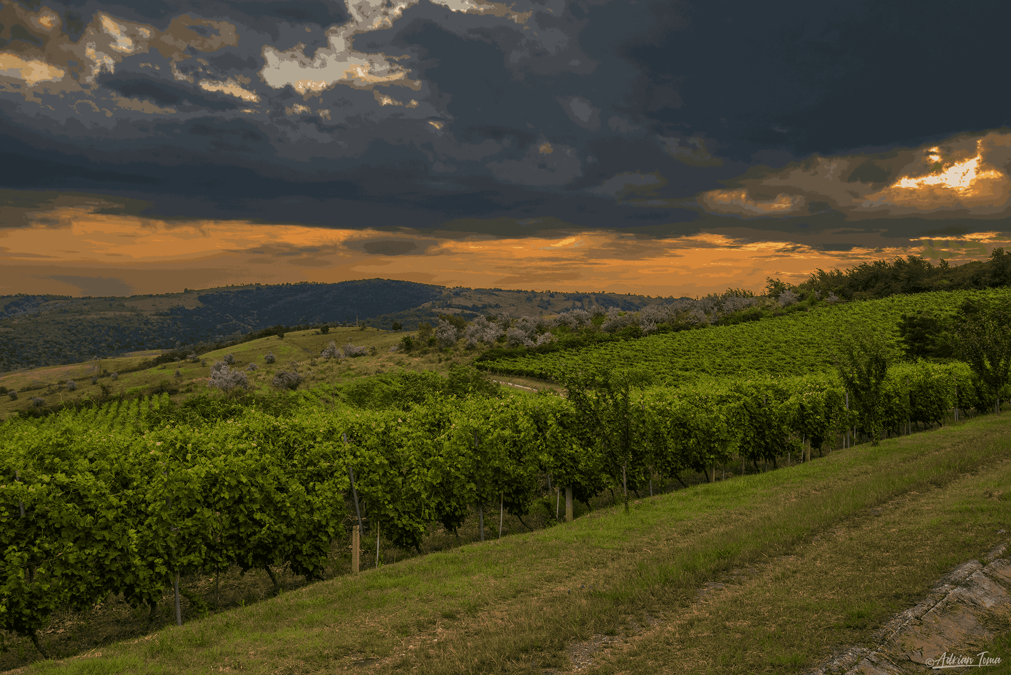 DSC_6632_3_11zon