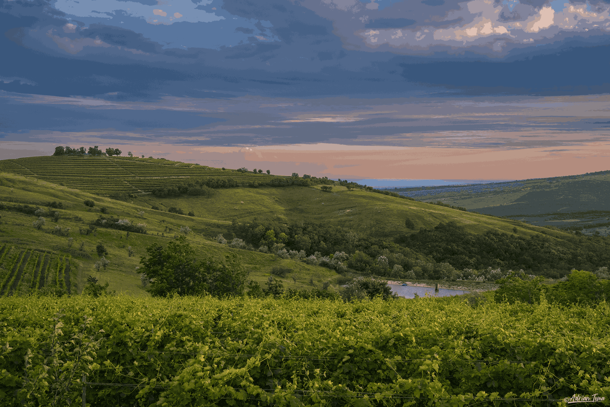 DSC_6655_4_11zon