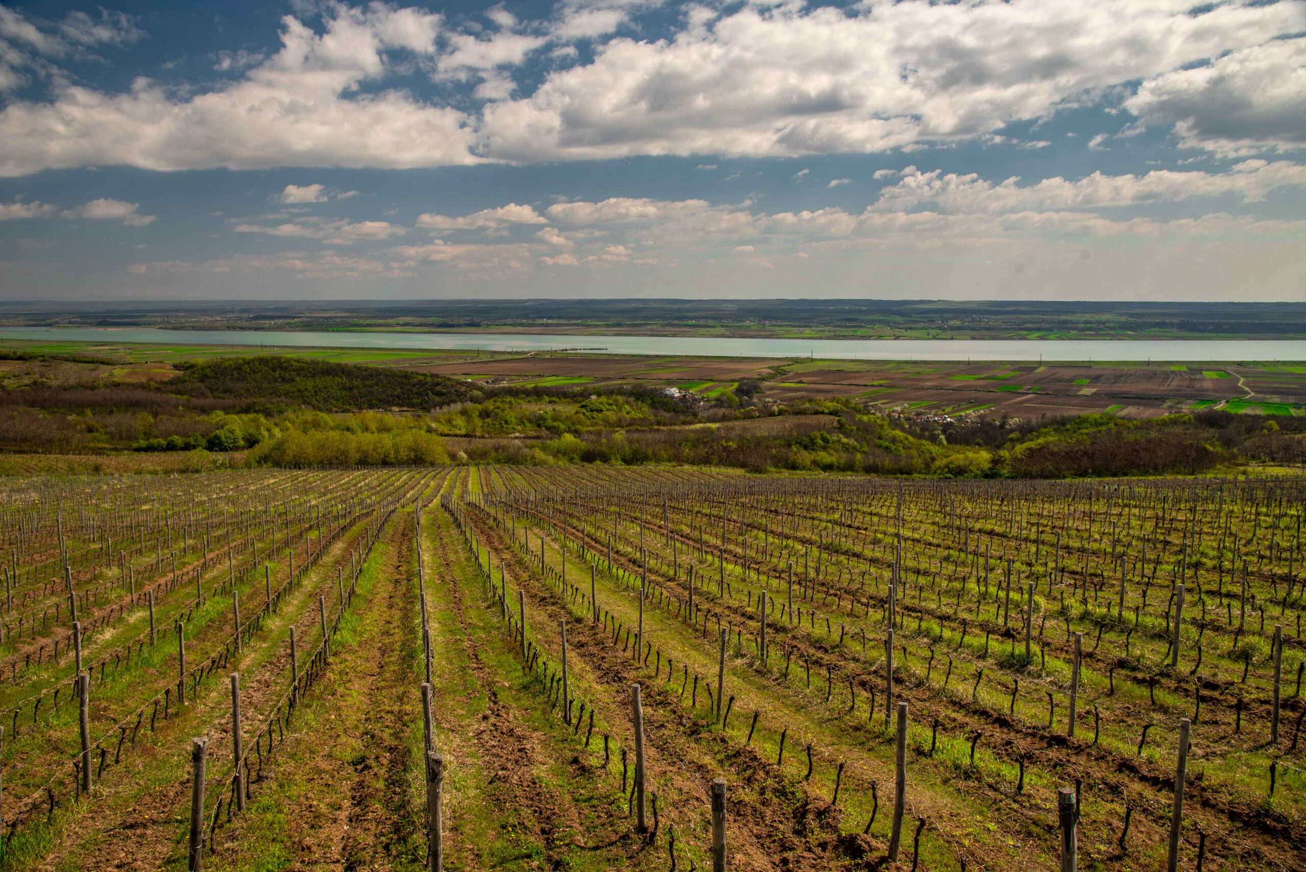 DSC_9621 – Copy_3_11zon
