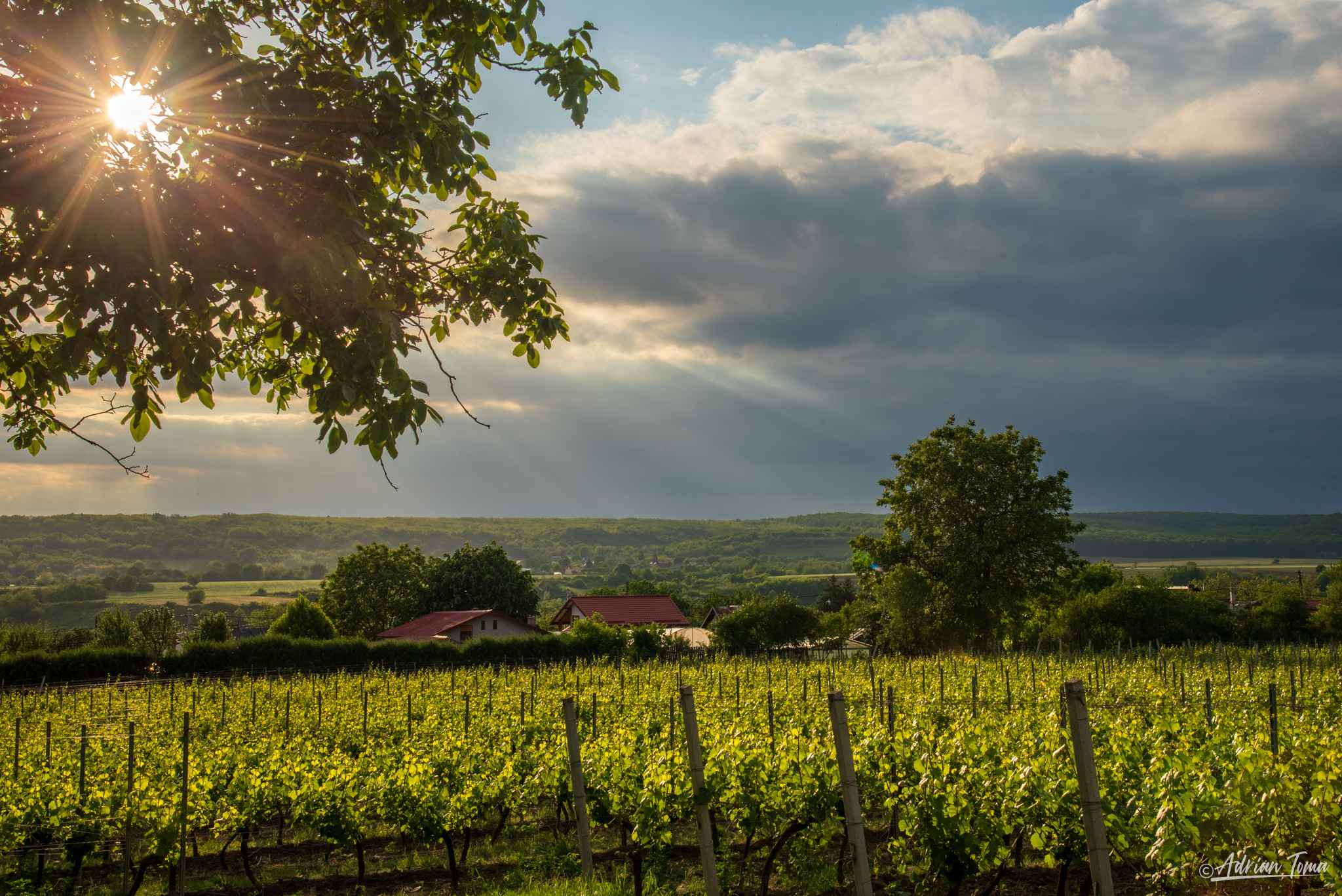 take3-369_14_11zon