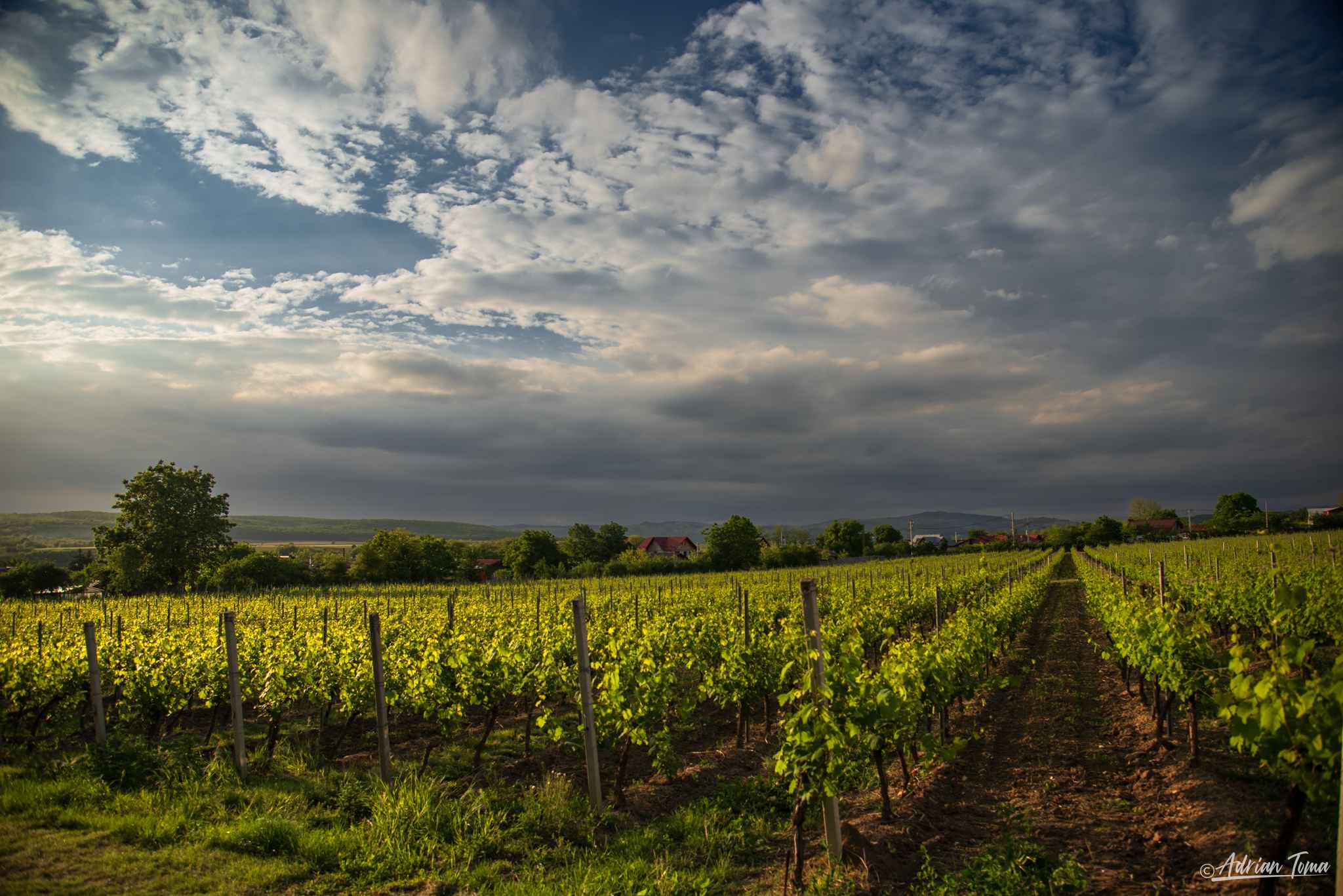take3-383_17_11zon